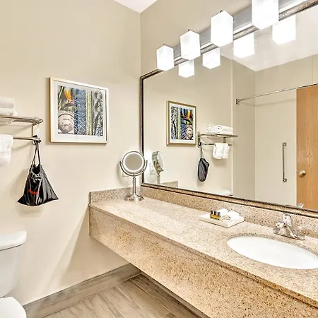 Best Western Plus Lewisville Flower Mound Room photo